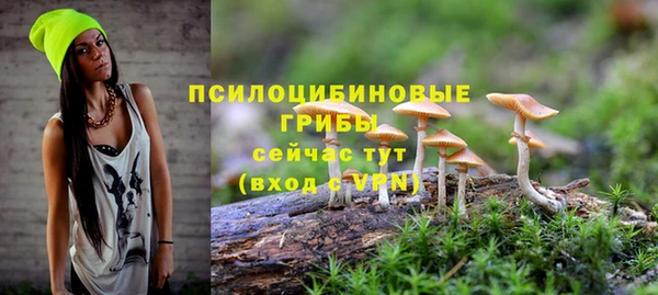 прущая мука Киренск