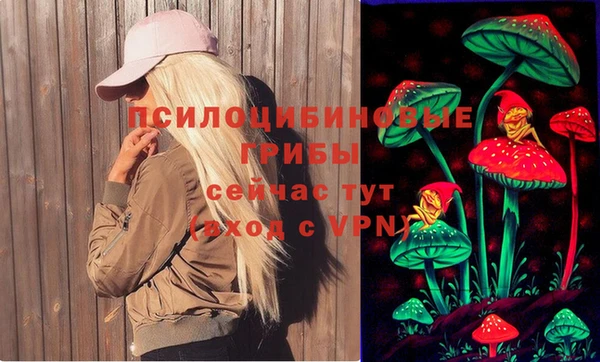 мдпв Киреевск